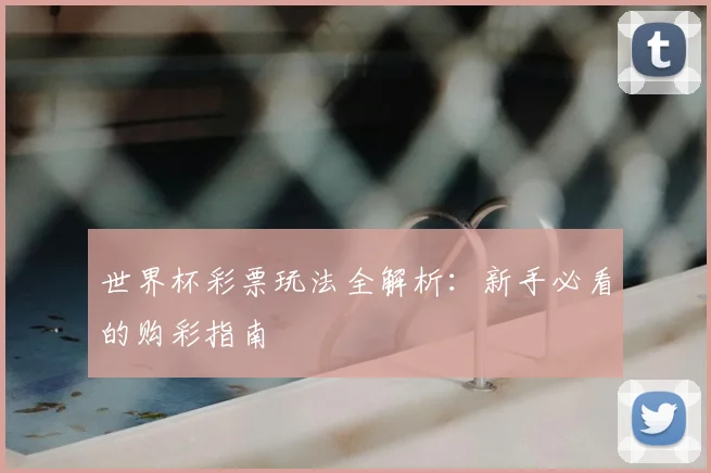 世界杯彩票玩法全解析：新手必看的购彩指南