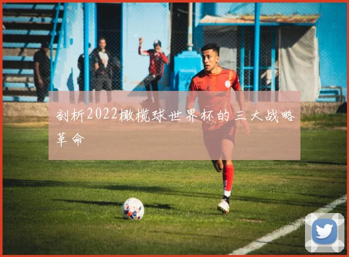 剖析2022橄榄球世界杯的三大战略革命