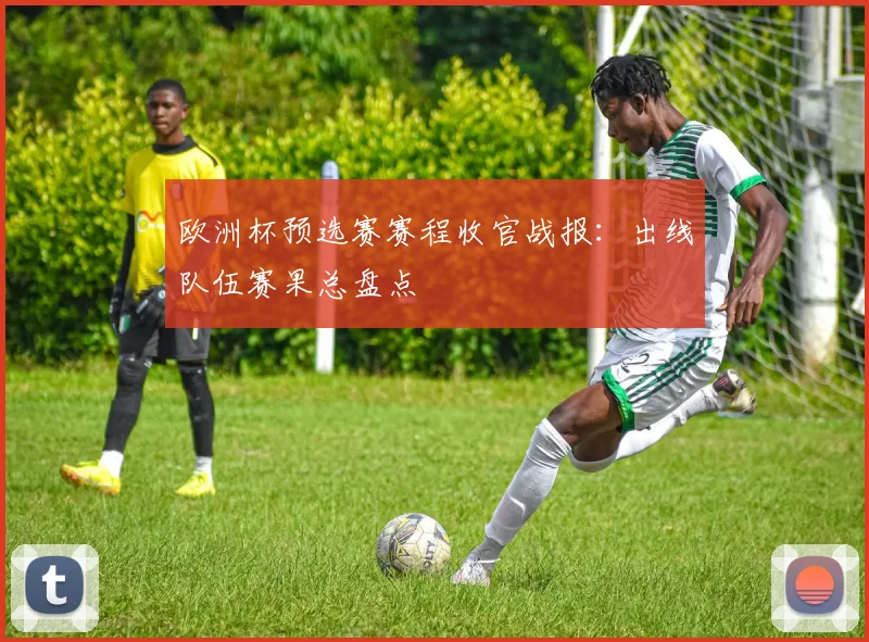 欧洲杯预选赛赛程收官战报：出线队伍赛果总盘点