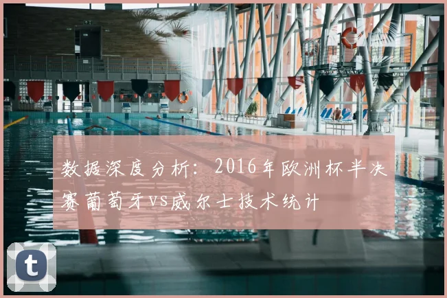 数据深度分析：2016年欧洲杯半决赛葡萄牙vs威尔士技术统计