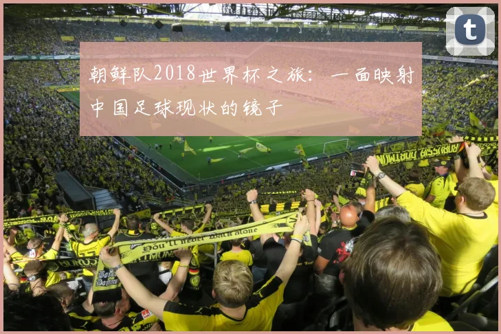 湖人vs鹈鹕全场回放：精彩集锦与关键数据解析